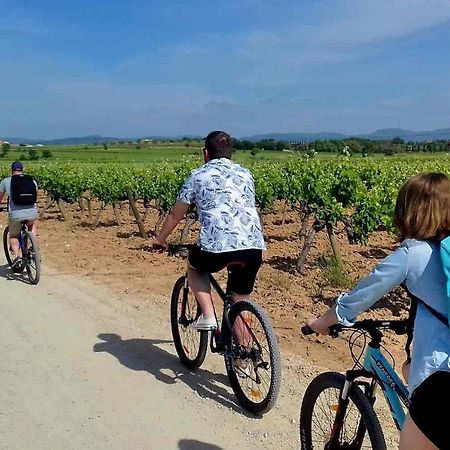 Tina De Vila, En La Capital Del Vino Vilafranca del Penedes Luaran gambar