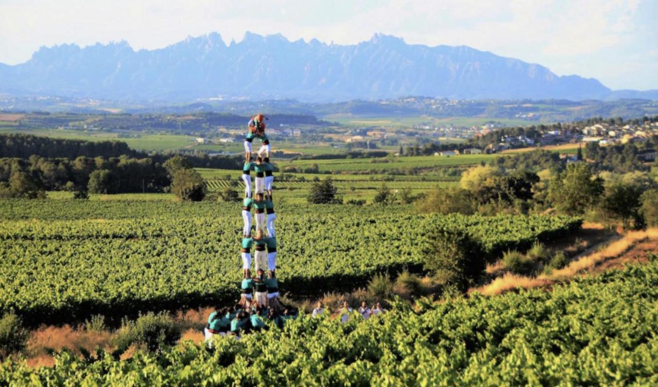 Tina De Vila, En La Capital Del Vino Vilafranca del Penedes Luaran gambar