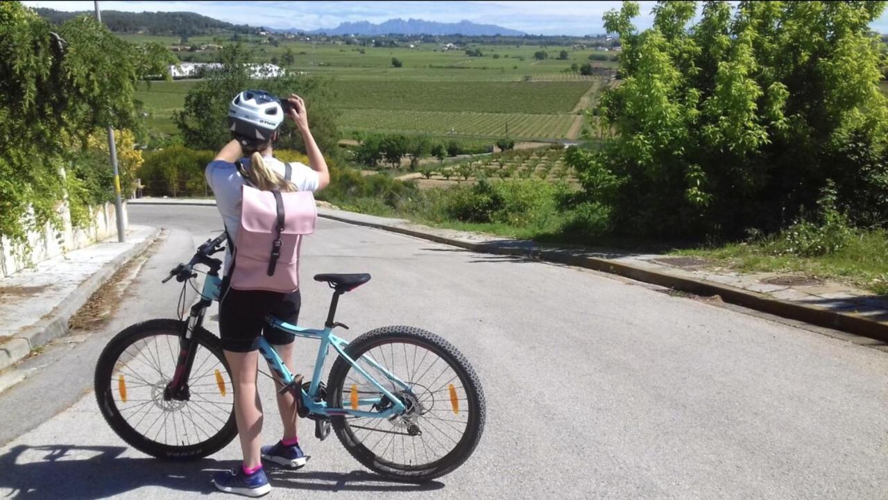 Tina De Vila, En La Capital Del Vino Vilafranca del Penedes Luaran gambar